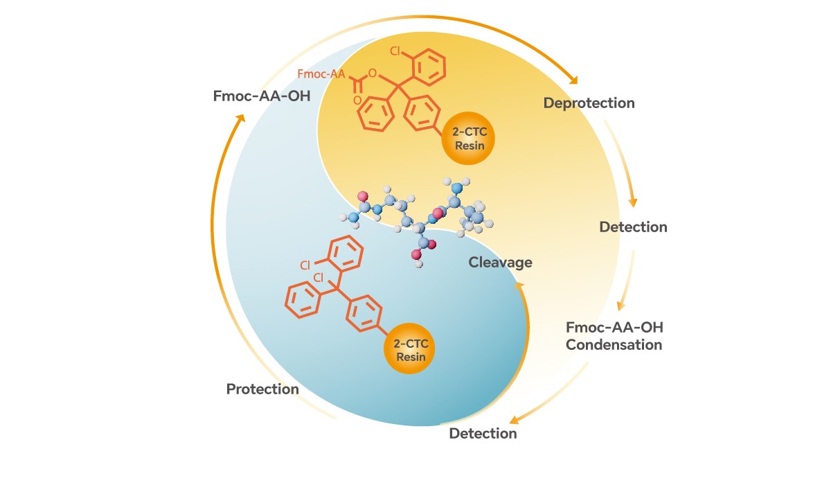 Fmoc Amino Acids